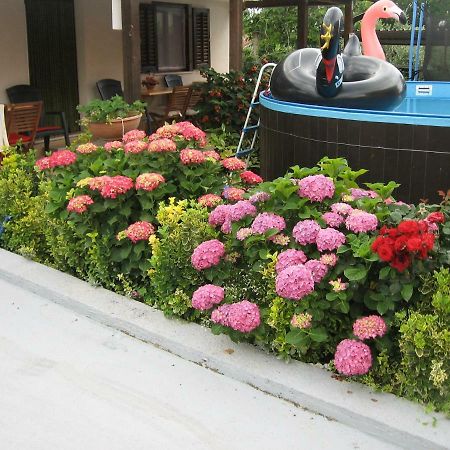 Apartments Adelita Пореч Экстерьер фото