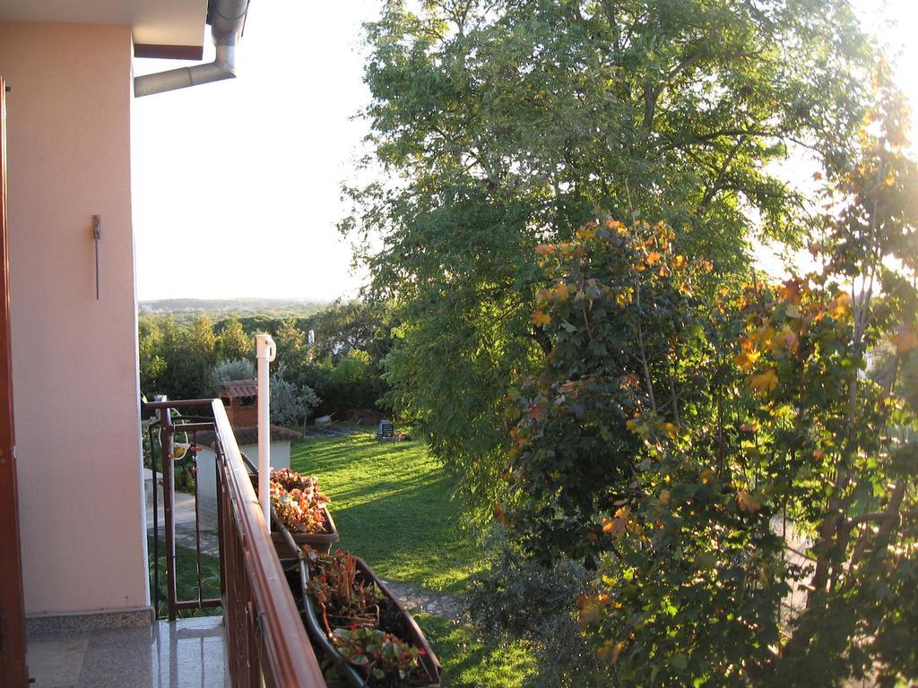 Apartments Adelita Пореч Экстерьер фото